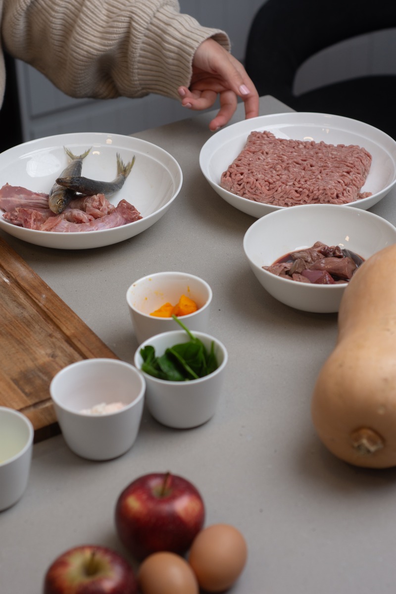 Ingredients for a complete homemade French Bulldog meal laid out on a bench: mince, chicken necks and sardines, liver, pumpkin, spinach, bone meal, oil, apple and eggs