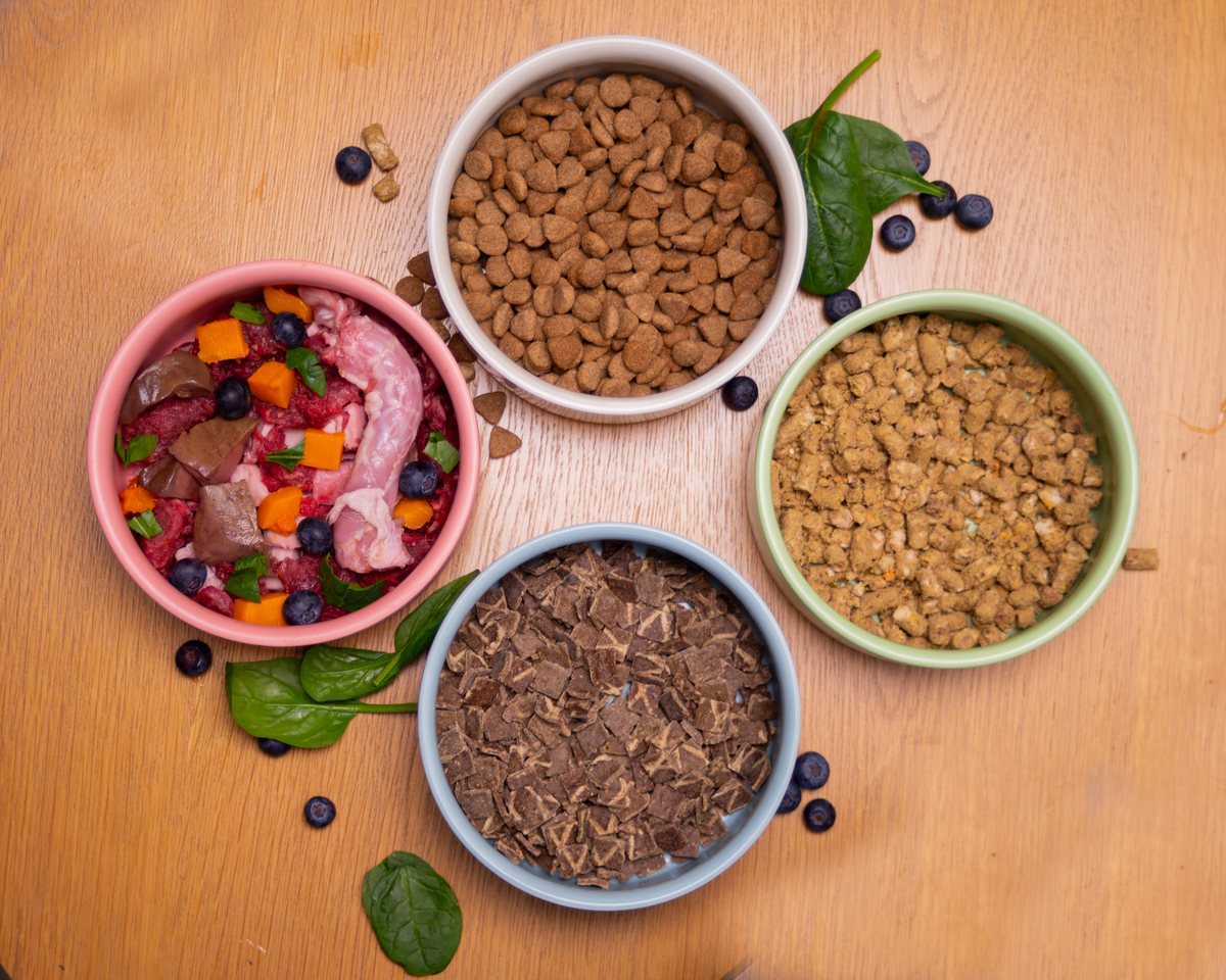 Four dog bowls side by side showing fresh raw food, dry kibble, air dried food and freeze dried food